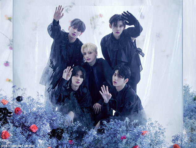 MV Chaotic Wonderland