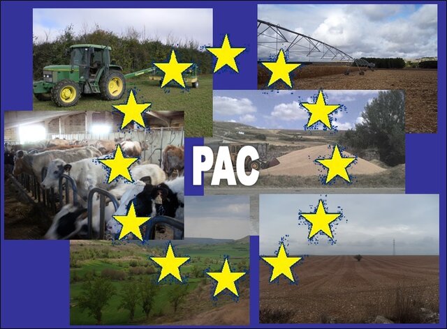 Primera política agrícola común