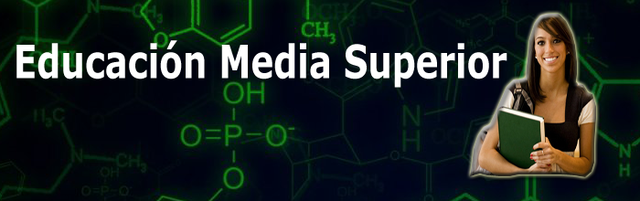 Educación Media Superior