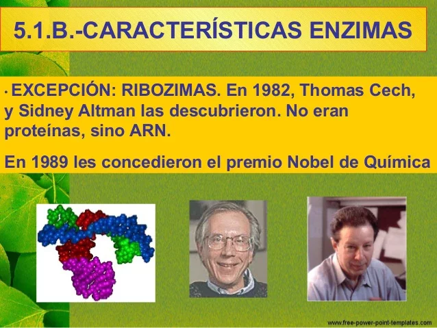 Sidney Altman, Thomas R. Cech