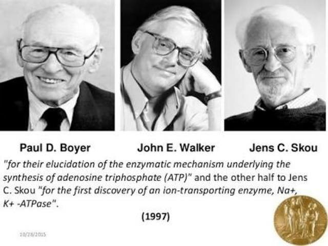 Paul D. Boyer, John E. Walker, Jens C. Skou