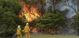 Incendis forestals d'Austràlia