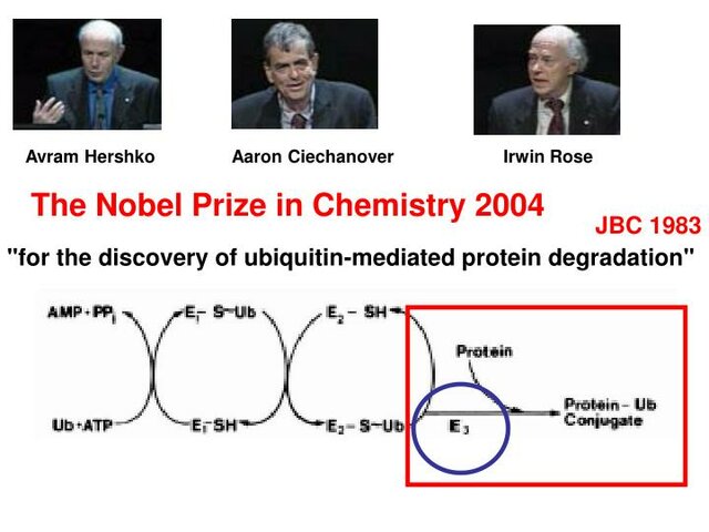 Aarón Ciechanover, Avram Hershko, Irwin Rose