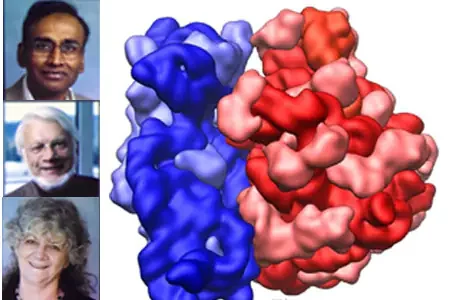 Venkatraman Ramakrishnan, Thomas A. Steitz, Ada E. Yonath