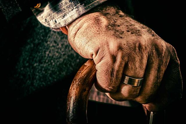 Adultez Tardía (60+)