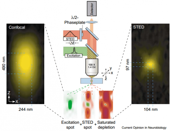 Eric Betzig, Stefan W. Hell, William E. Moerner