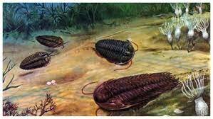 COMIENZO DE LA VIDA EN LA TIERRA