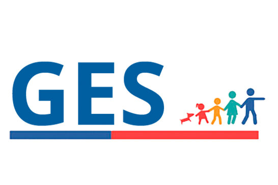 Grupo Economía de la Salud (GES)