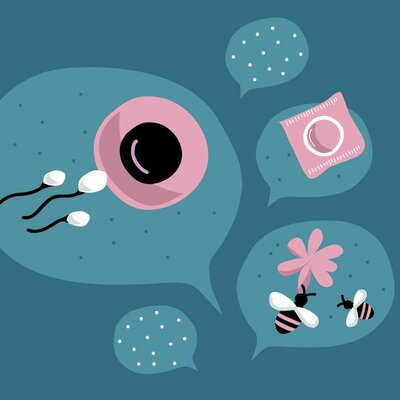 Timeline: LA SALUD SEXUAL Y REPRODUCTIVA DE LAS Y LOS ADOLESCENTES EN MÉXICO