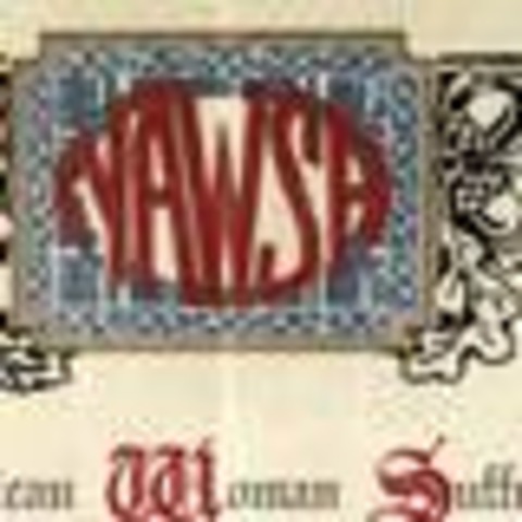 National American Woman Suffrage Association (NAWSA)
