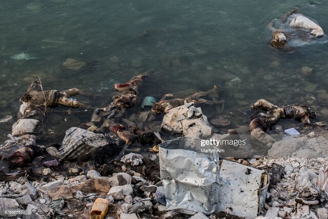 SUMPUL RIVER MASSACRE