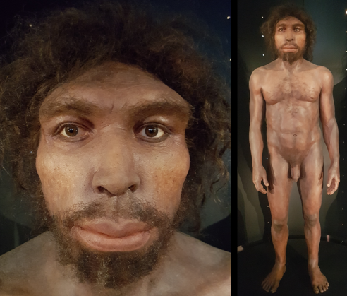 Homo rhodesiensis