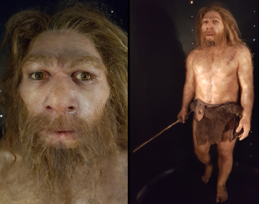 Neandertales