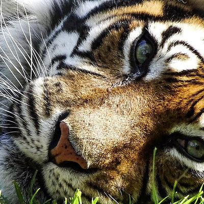 Timeline: Belén Chéliz