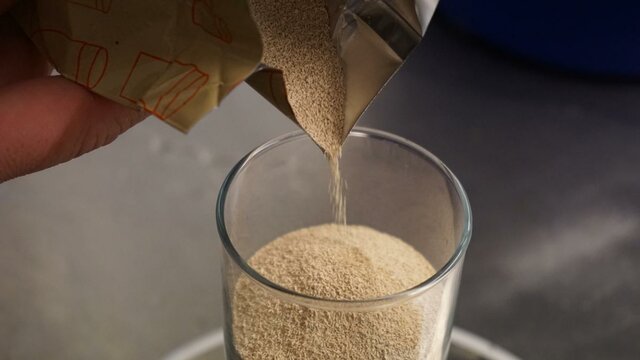 La levadura de cerveza