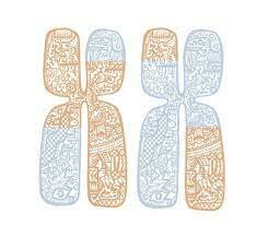 Entrecruzamiento cromosómico