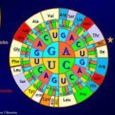 Descubrimiento del código genético