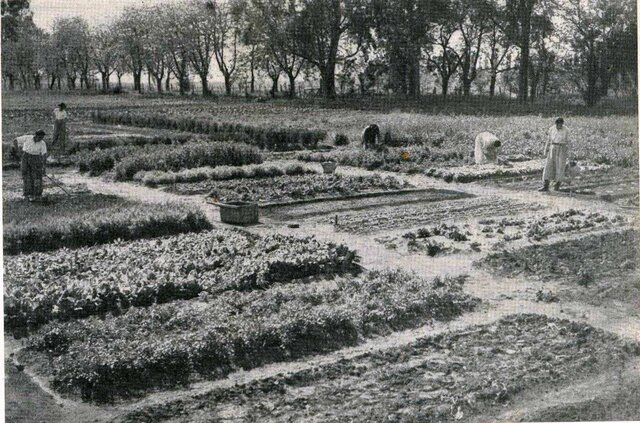 Globalización arcáica