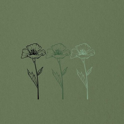 Timeline: NT Timeline