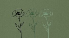 Timeline: NT Timeline