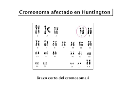 Descubrimiento de Magrums