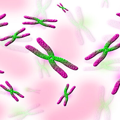 Timeline: Linea de tiempo - Kaoris Cordero y Angelina Misayauri