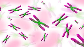 Timeline: Linea de tiempo - Kaoris Cordero y Angelina Misayauri