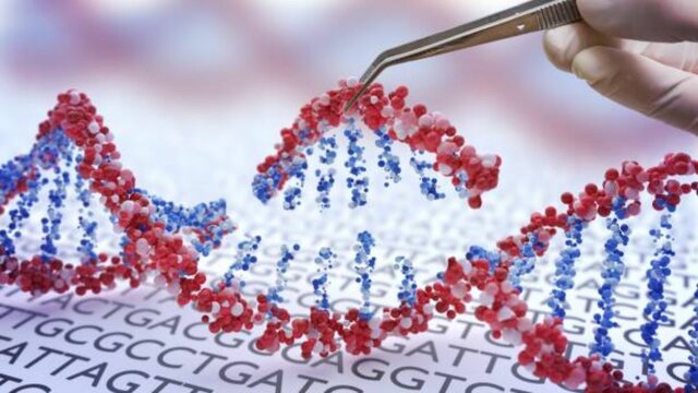 ESTUDIO DE LAS LEYES DE LA HERENCIA GENÉTICA