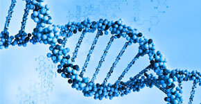 DESCUBRIMIENTO DE UN GENOMA USANDO SU SECUENCIA