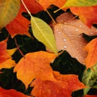 Timeline: 2.B SKT HIO