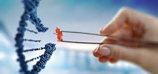 La genómica del cáncer