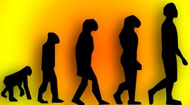 Timeline: O SER HUMANO A TRAVÉS DA HISTORIA