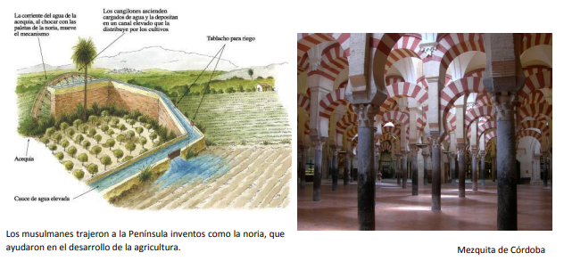 Edad media en Epaña