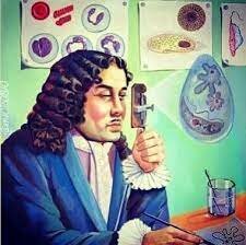 Anton Van Leeuwenhoek