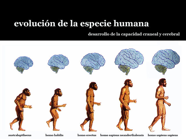 Evolución