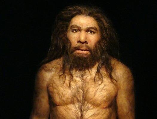 Homo sapiens neanderthalis