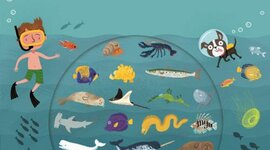 Timeline: teste A128T3