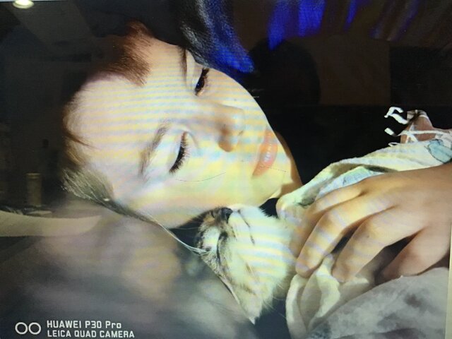 On a adopté mon chat Chopin