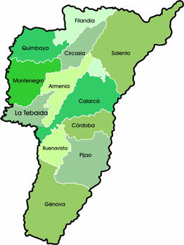 Colonizacion del Quinido