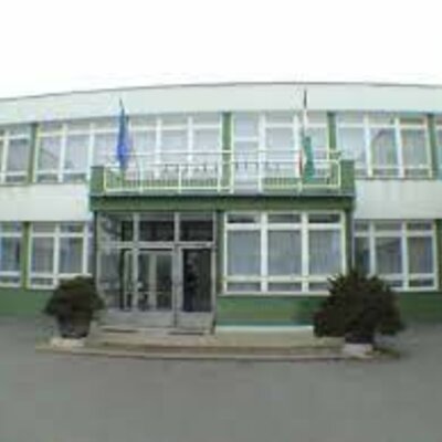 Timeline: Boros Patricia