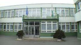 Timeline: Boros Patricia