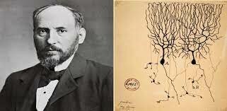 Santiago Ramón y Cajal,