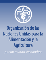 En  Quebec - Canadá, se funda la (FAO) Food Agricultura Organization
