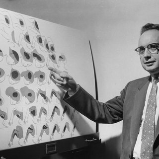 Woolsey, Bard y Rose