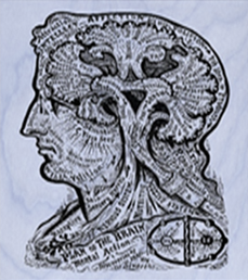 S. IV Némesis