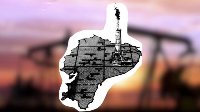 De la crisis al auge