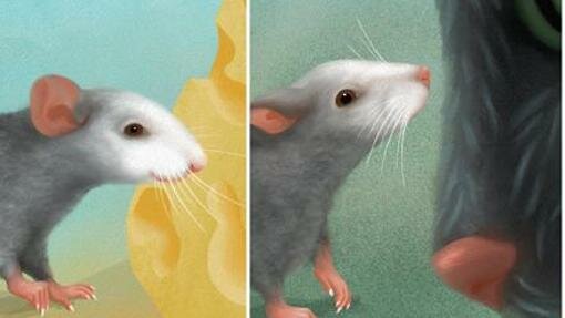 Describen por primera vez emociones en la cara de los ratones