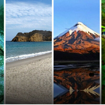 Timeline: Línea de tiempo, declaración AP - Ecuador