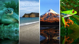 Timeline: Línea de tiempo, declaración AP - Ecuador