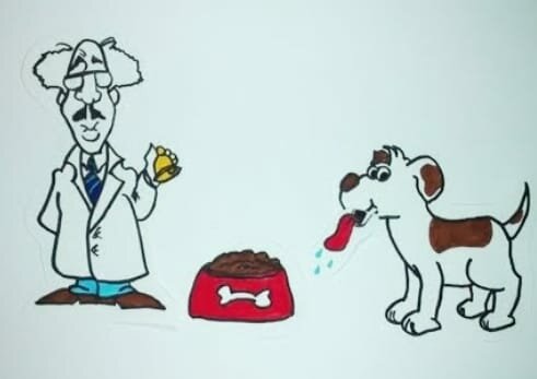 1801 Modelo Pedagógico Conductista